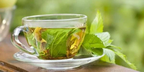 فوائد وأضرار الشاي الأخضر